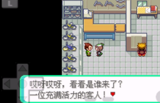 口袋妖怪刽曜之影
