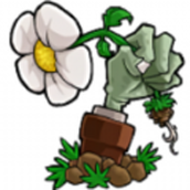 植物大战僵尸lzsc版