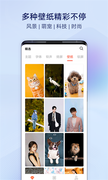 vivo主题商店(VIP开通页面体验细节优化)