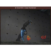 CSGO十大最贵武器都是什么