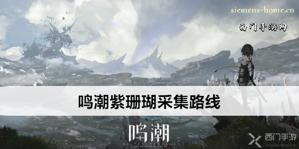 鸣潮