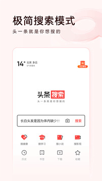 头条搜索极速版(浏览赚钱)