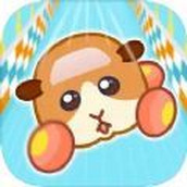 天竺鼠车车下载最新版