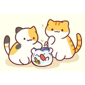 猫咪后院轻松享受养猫乐趣指南