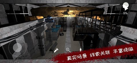 孙美琪疑案王爱国中文版