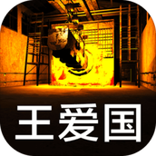 孙美琪疑案王爱国中文版