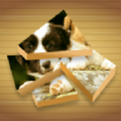 ArtBlockPuzzle游戏下载
