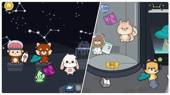 罗布泊和朋友无广告