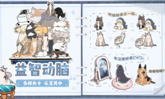 挤在一起的猫猫