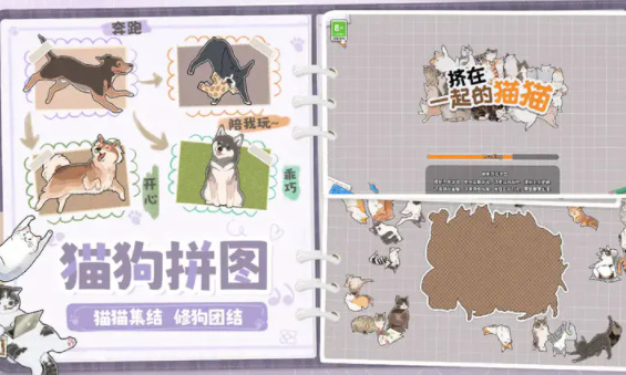 挤在一起的猫猫