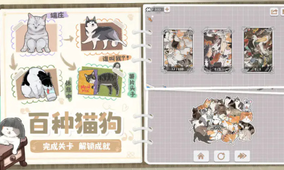 挤在一起的猫猫