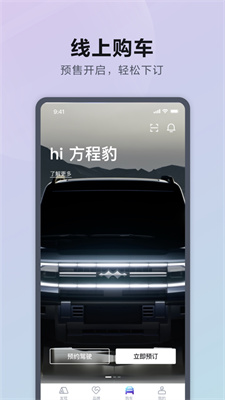 方程豹