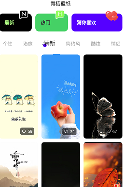青桔壁纸手机版