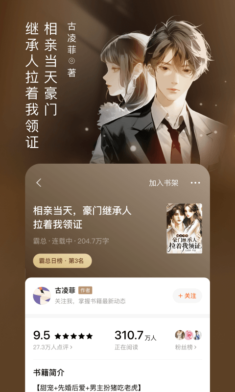 番茄小说版