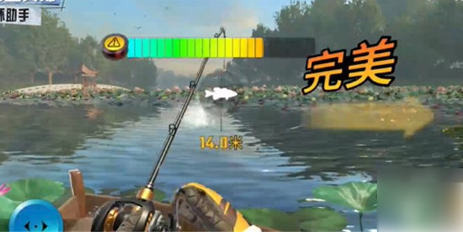 钓鱼达人