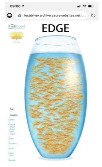 fishbowl测试