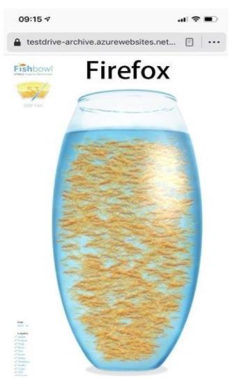 fishbowl测试