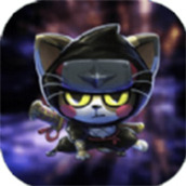 一只忍者猫版