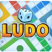 国际飞行棋LUDO