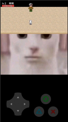 猫咪惊魂恐怖游戏