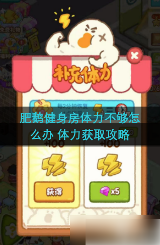 肥鹅健身房
