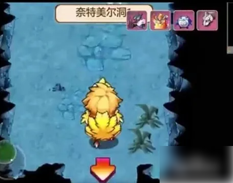 口袋妖怪