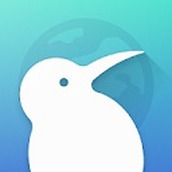 kiwi浏览器汉化版