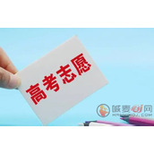 高考志愿是什么