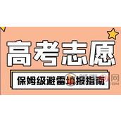 高考报志愿怎么报