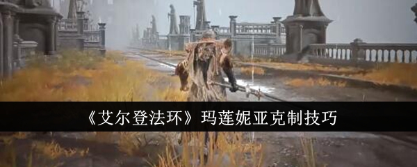 艾尔登法环