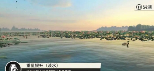 欢乐钓鱼大师