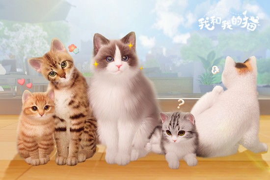 我和我的猫测试版