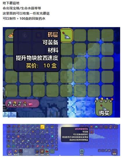 泰拉瑞亚