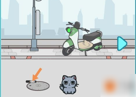 天天躲猫猫