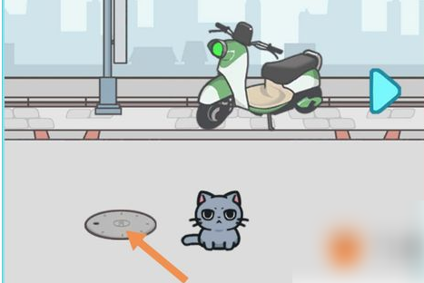 天天躲猫猫