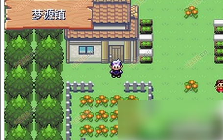 精灵宝可梦漆黑的魅影