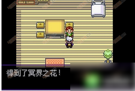 精灵宝可梦漆黑的魅影