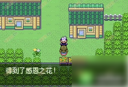 精灵宝可梦漆黑的魅影