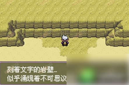 精灵宝可梦漆黑的魅影