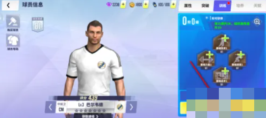 球场风云