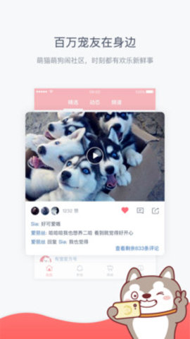 有宠APP