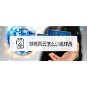 球场风云深度解析球员训练攻略 - FIFPro授权实战指南
