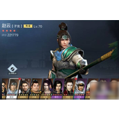真三国无双霸武将策略指南