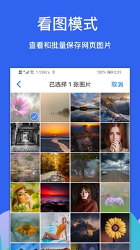 alook浏览器去升级