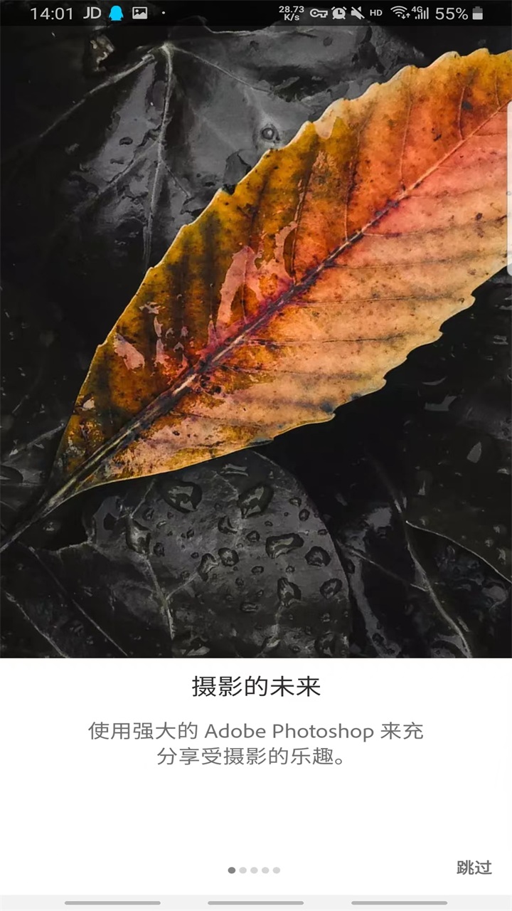 lightroom软件
