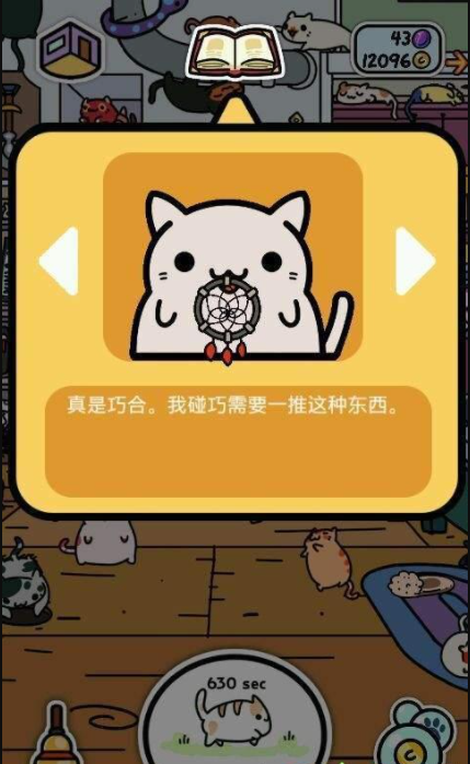 小偷猫