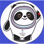 弹力冰墩墩