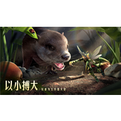 狩猎使命手游宠物搭配策略指南