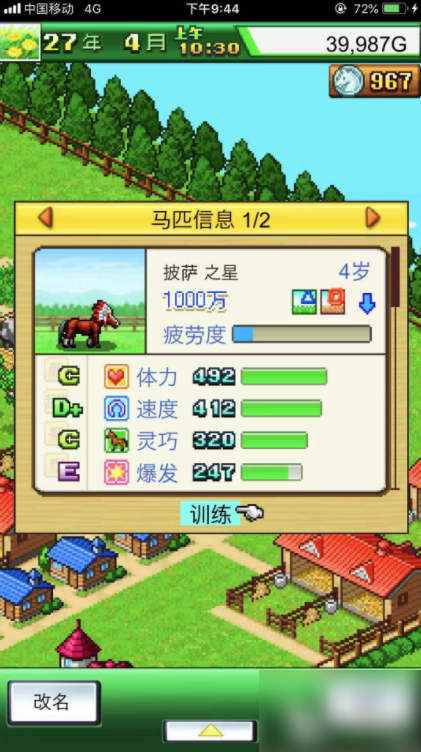 赛马牧场物语
