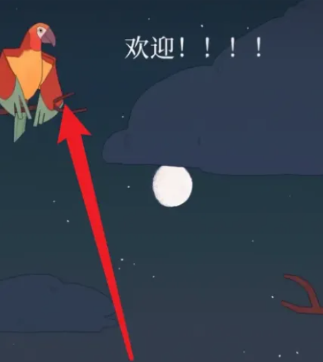 孤独的鸟儿
